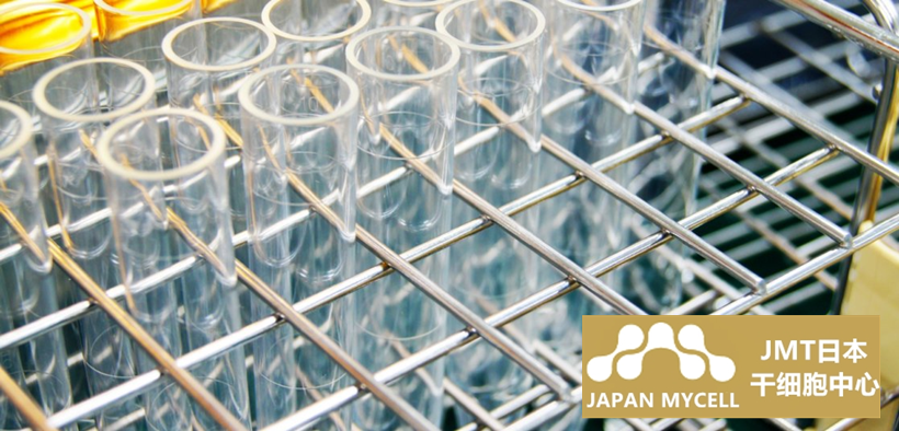 JMT日本干细胞中心-干细胞新闻九州大学将血管细胞转化为肝脏细胞