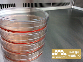 JMT日本干细胞中心-干细胞是什么？