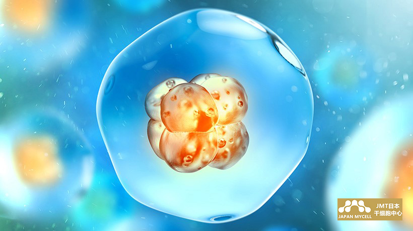 JMT日本干细胞-关于干细胞的治疗效果已得到验证！