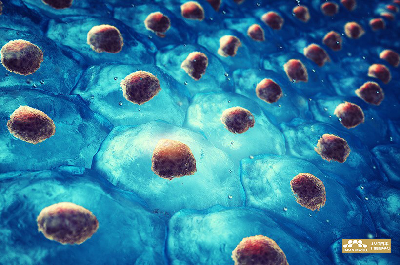 JMT日本干细胞外泌体-外泌体(Exosome)是什么？解析其效果及安全性