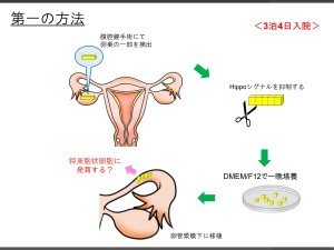 JMT日本经血干细胞-关于衰老卵巢的治疗