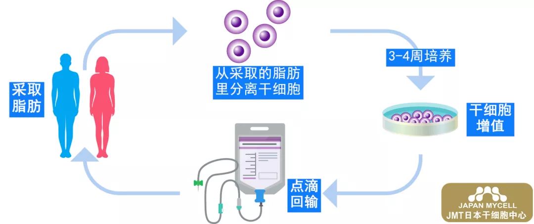 日本干细胞-慢性肝炎的治疗方法及常规治疗和日本干细胞的比较