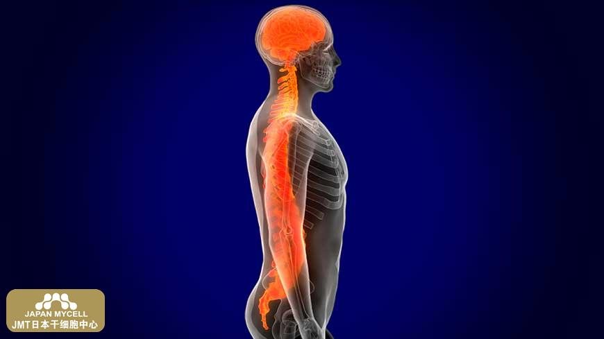 JMT日本干细胞中心-脊椎脊髓损伤的治疗方法有哪些？