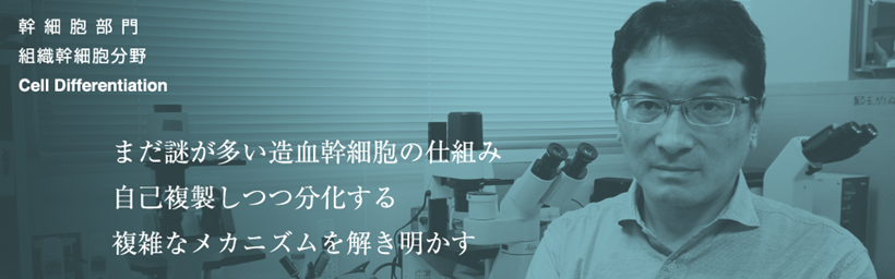 JMT日本干细胞中心-组织干细胞的研究和发展
