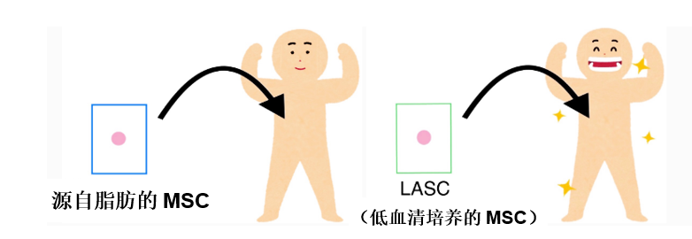 日本干细胞-来源于脂肪组织干细胞的临床治疗介绍