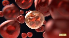 JMT日本干细胞-什么是干细胞？深入解释说明干细胞的两种能力、三种分类!