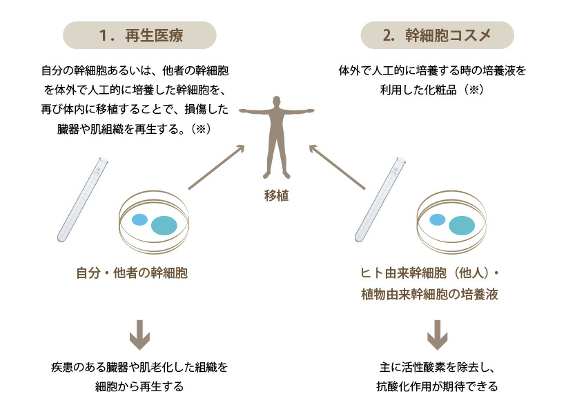 JMT日本干细胞案例-70多岁日本