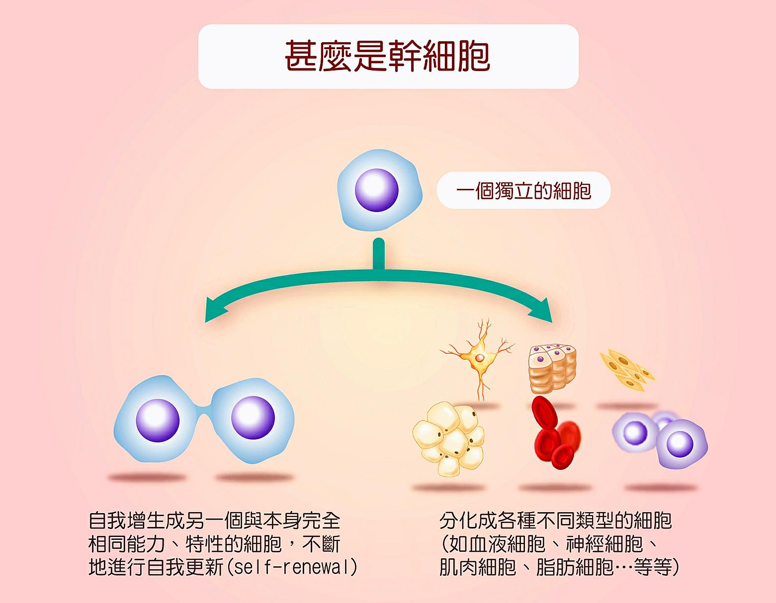 JMT日本干细胞案例-30多岁的日