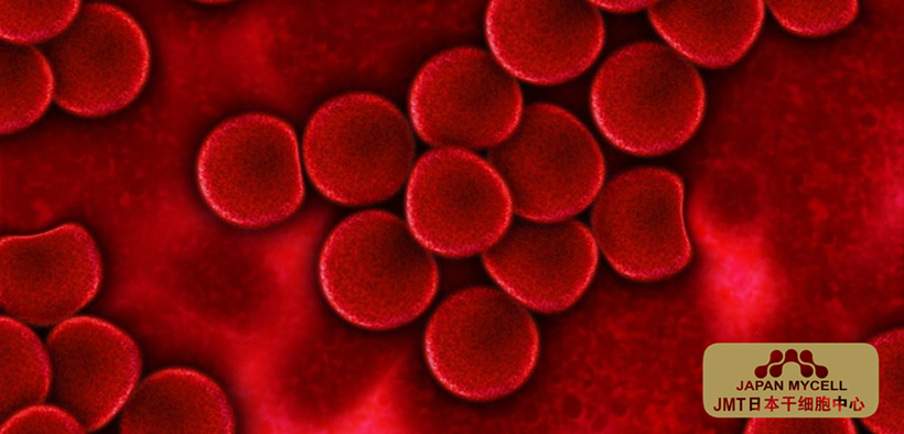 JMT日本干细胞中心-造血干细胞是什么？ 彻底解析“血液癌”及其问题的治疗方法！