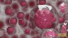 JMT日本干细胞中心-详细解说成体干细胞和其中拥有多分化能力的间充质干细胞