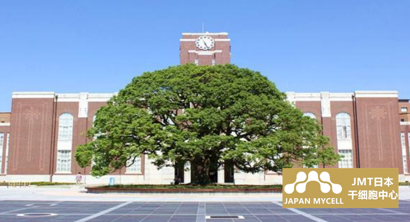JMT日本干细胞中心-发现同种异体造血干细胞移植后回归社会的预测因素-日本京都大学
