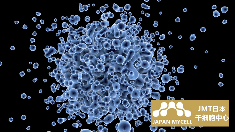 JMT日本干细胞中心-什么是脂肪来源的干细胞？