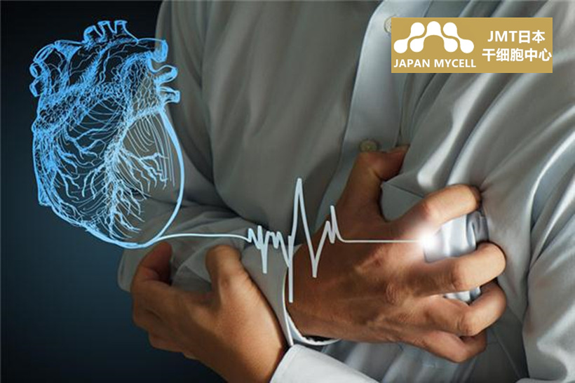 JMT日本干细胞中心-干细胞治疗心肌梗塞的细胞种类①