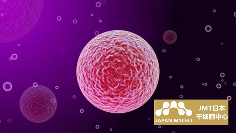JMT日本干细胞治疗心肌梗塞-适合接受骨髓干细胞治疗的疾病及适当的时机