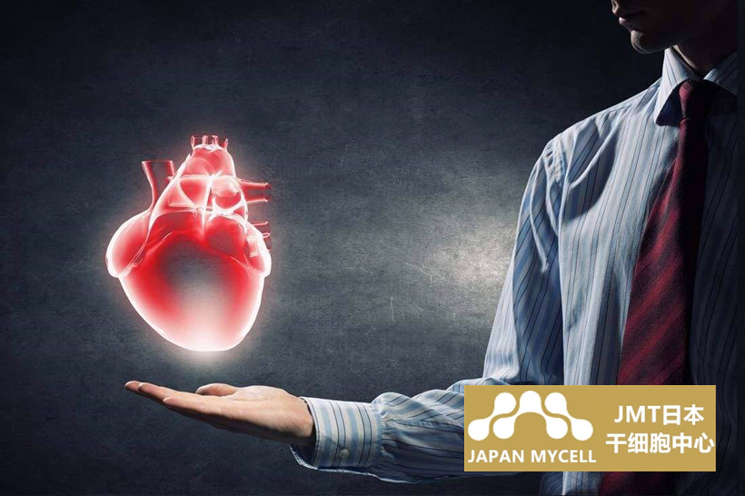 JMT日本干细胞治疗急性心肌梗塞-干细胞治疗的安全性和长期治疗效果