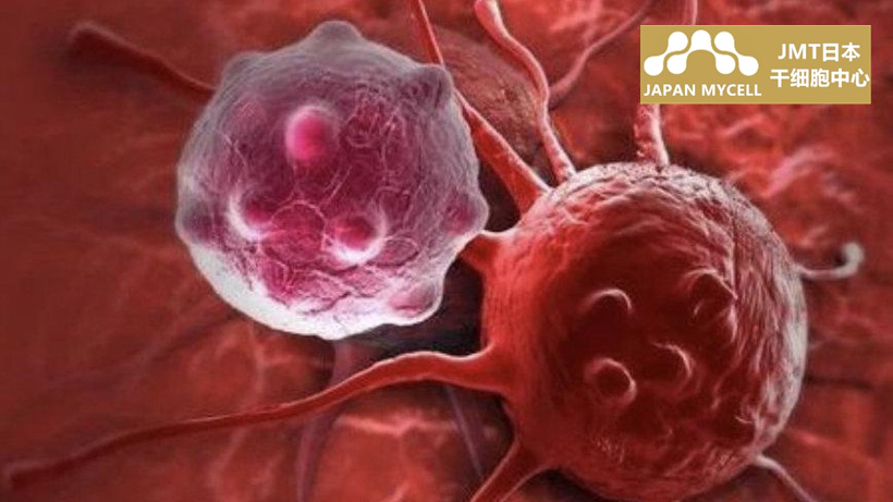 JMT日本干细胞-癌症干细胞的动态