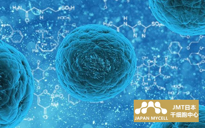 JMT日本干细胞中心-干细胞科普