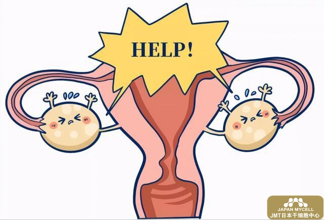 日本干细胞治疗卵巢肿大-卵巢肿大考虑是受女性荷尔蒙影响疾病的治疗方法