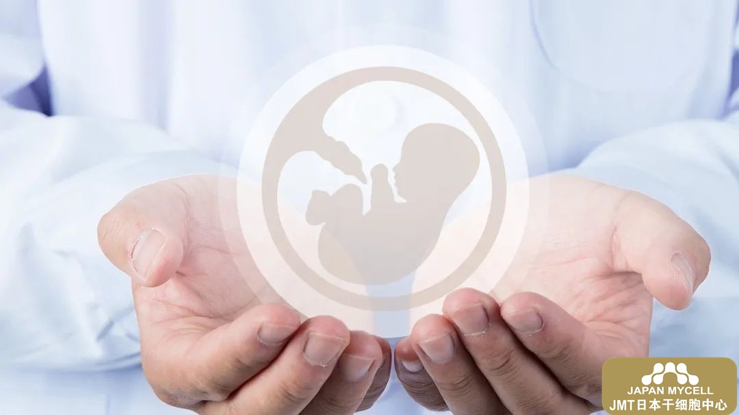 日本经血干细胞-不孕症的治疗方法以及重症卵巢功能衰竭的治疗