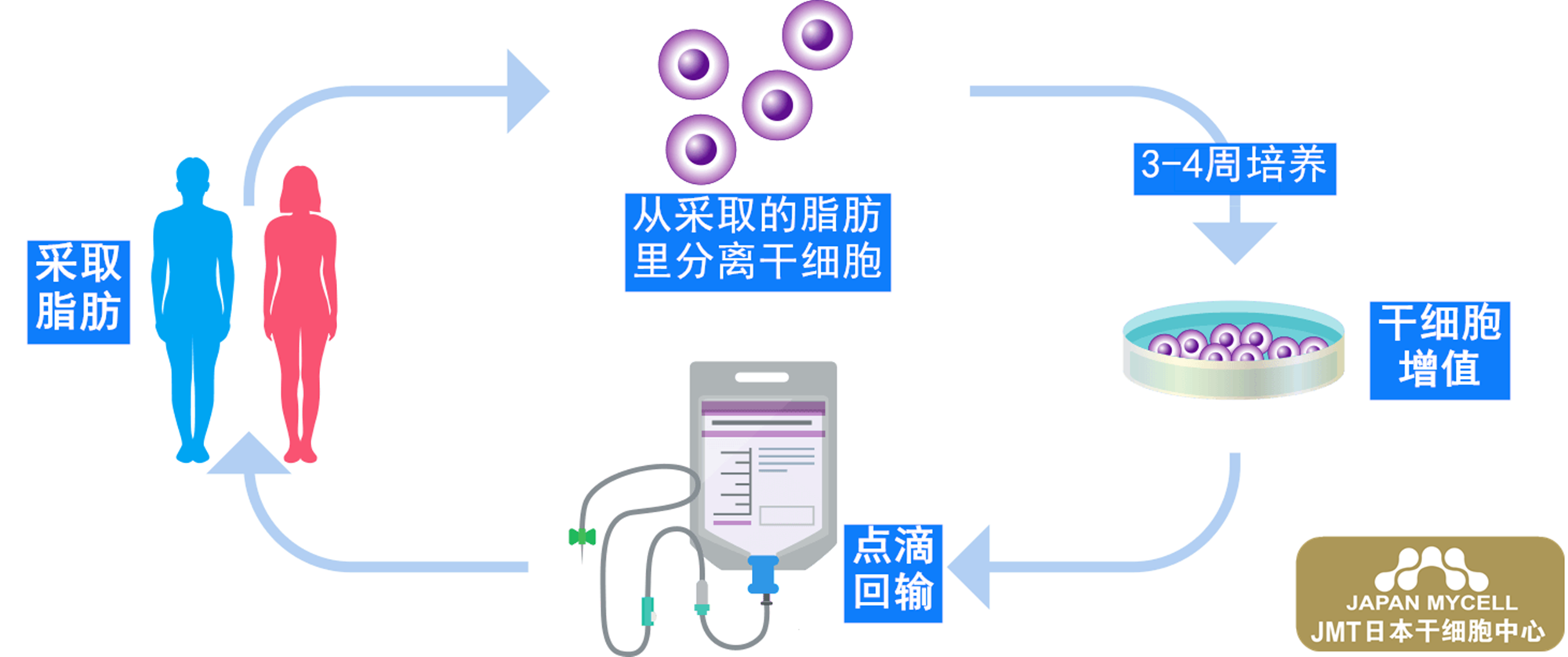 慢性肾脏病肾功能不全如何治疗-日本干细胞治疗流程