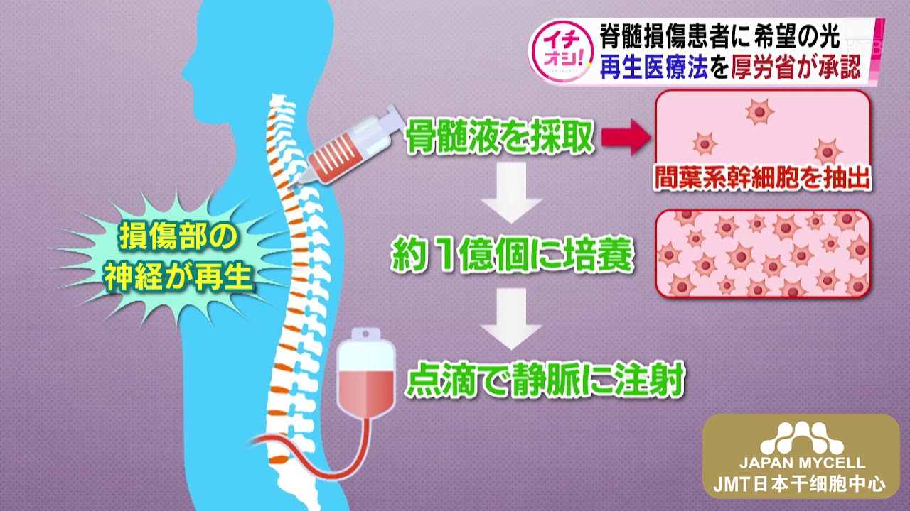 JMT日本干细胞中心-你了解脊椎脊髓损伤吗？