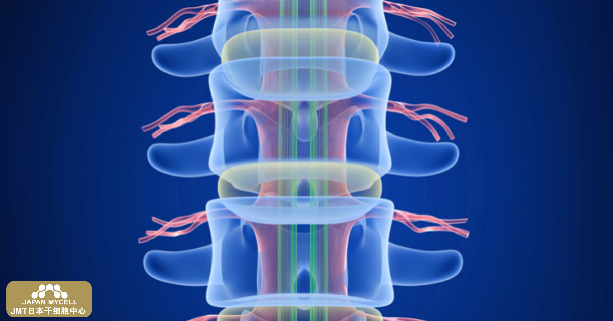 JMT日本干细胞中心-脊柱脊髓损伤后的长期护理