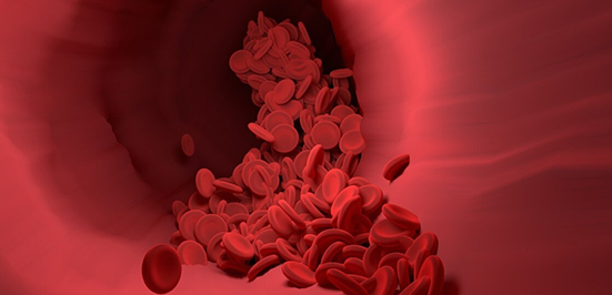 开发保持造血干细胞高功能的基因编辑及培养平台